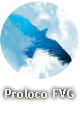 Proloco FVG